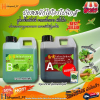 ปุ๋ย A-B Premium ปุ๋ย AB ไฮโดรโปนิกส์ เข้มข้นสูงสุด ครอบคลุมการปลูกพืชผักไม้ผล ขนาด 1 ลิตร (ฟรีเมล็ดผัก1ซอง)