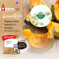 เมล็ดนำเข้า ฟักทองญี่ปุ่น Kabocha Squash (Organic Seed) Pumpkin สายพันธุ์นิยม