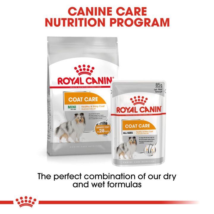 royal-canin-mini-coat-care-โรยัล-คานิน-อาหารเม็ดสุนัขโต-พันธุ์เล็ก-ดูแลสุขภาพเส้นขน-อายุ-10-เดือนขึ้นไป-กดเลือกขนาดได้-dry-dog-food