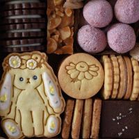 Bunny Shape Biscuit Mold Wreath Rabbit Daisy Flower Frosting Cookie Mold Spring Hand Pressed Cookie Cutter Cake Decoration Tools