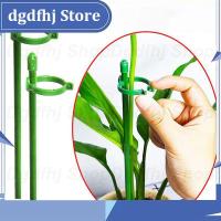 Dgdfhj Shop 5/10pcs plant Flower Potted Support stand Holder Stake Stander Fixing Tool Gardening Supplies Shrub for Orchid Bonsai Daisy q1