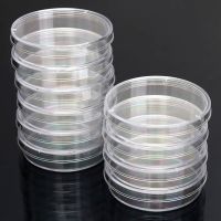 【YF】 10Pcs 55x15mm Polystyrene Sterile Petri Dishes Bacteria Culture Dish for Laboratory Biological Scientific Lab Supplies