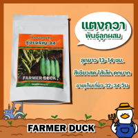 แตงกวา รุ่งเจริญ 34 F1 เมล็ดแตงกวา เมล็ดพันธุ์แตงกวา ลูกผสม ผลยาว 13-14 ซม. สีเขียวสด ไส้เล็ก ทนโรค ทนต่อการขนส่ง โฮมซีดส์ บรรจุ 50/100 กรัม