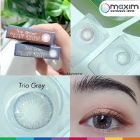 Trio Gray   สีเทา เลนส์สี Maxim คอนแทคเลนส์ Contact Lens โทนธรรมชาติ สุภาพ อ่อนโยน ป้องกันรังสี UV มินิ