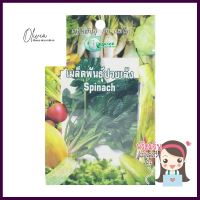 เมล็ดพันธุ์ปวยเล้ง กรีน การ์เด้นSPINACH SEED GREEN GARDEN **พลาดไม่ได้แล้วจ้ะแม่**