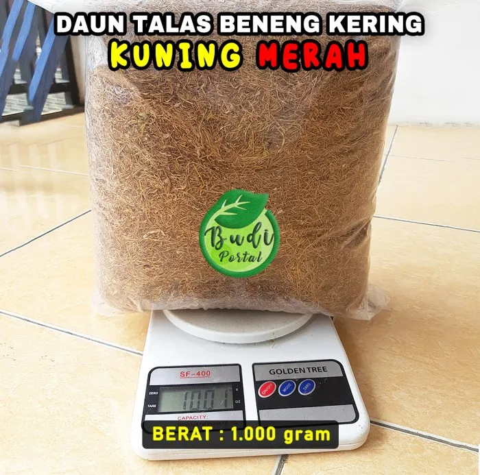 Daun Talas Beneng Kering 1kg Kuning Merah Lazada Indonesia 6630