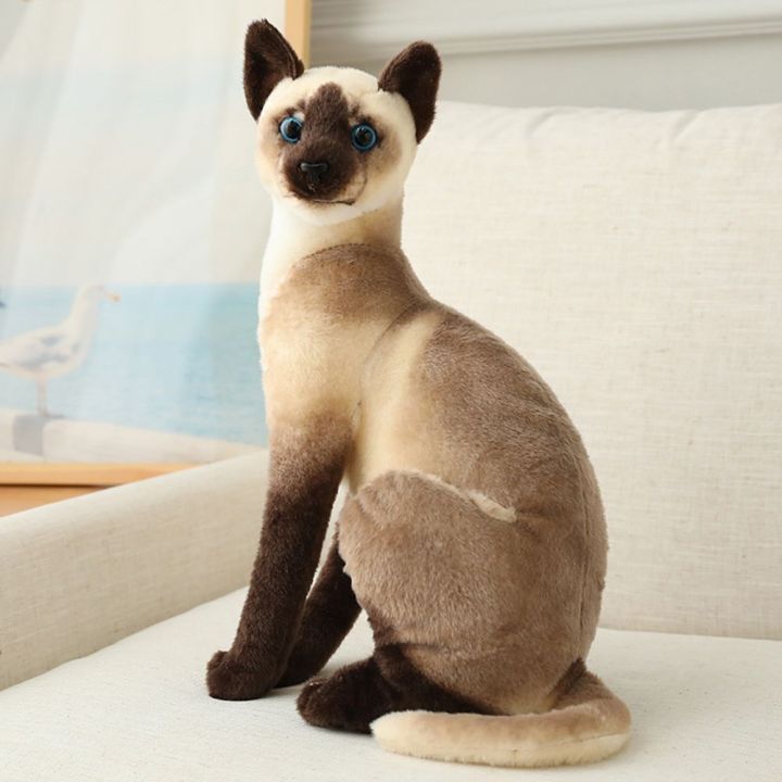 cod-ของเล่นสัตว์เลี้ยง-แมวสยามสีส้มแมว-เด็ก-ของขวัญ-ของเล่นตุ๊กตา-หมอน-ของเล่นแมวจำลอง-ตุ๊กตาจำลอง
