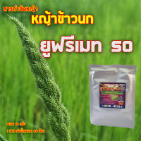 สารกำจัดหญ้าข้าวนก หญ้านกชมพู ในนาข้าว กำจัดวัชพืชในนาข้าว ยูฟรีเมท 50