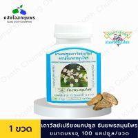 เถาวัลย์เปรียงแคปซูล Thanyaporn Herbs เถาวัลย์เปรียง ธันยพรสมุนไพร 100 แคปซูล