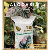 ดินพร้อมปลูกสำหรับอะโลคาเซีย Alocasia Best soil Mixed  ขนาด 20ลิตร