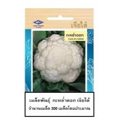 5 ฟรี 1 คละได้ ทั้งร้าน  เมล็ดผัก กะหล่ำดอก  Cauliflower  เจียไต่ เมล็ดพันธุ์ผัก  ผักสวนครัว  เมล็ดผักสวนครัว  เมล็ดพันธุ์ผักสวนครัว