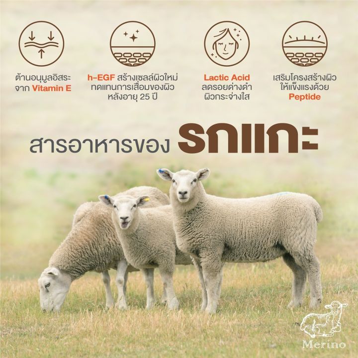 สบู่รกแกะ-คอลลาเจน-corriedale-sheep-placenta-soap-90-กรัม