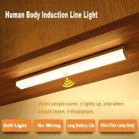 led Induction Light Human Body Induction Light Wire-Free Magnetic Suction Rechargeable night Light Long Battery Life Light Wardr Ceiling Lights