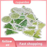 RUPANBO039392692 225pcs สีเขียวอ่อน สติกเกอร์ติดผนัง พีวีซีพีวีซี สติกเกอร์รูปต้นไม้ สติกเกอร์สมุดติดรูป สติกเกอร์ธรรมชาติ ดีไอวาย