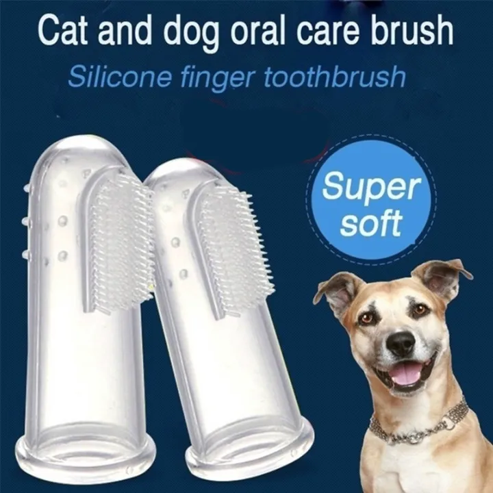 canine finger toothbrush