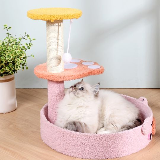 xcutememeow-คอนโดแมวใหญ่-คอนโดแมวลดราคา-คอนโดแมวถูกๆ-คอนโดแมวพร้อมที่ฝนเล็บแมว-ที่ข่วนเล็บแมว-ที่นอนแมว-บ้านแมว-ของเล่นแมว-ปอมปอม