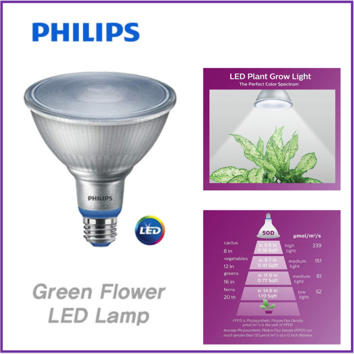 Philips LED Plant Grow Light Bulb PAR38 Daylight 15.5W | Lazada