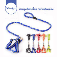 SARIYA สายจูงสัตว์เลี้ยง Strip สายจูงสุนัข (CE01) สายจูงแมว สายรัดอกสุนัข Refective Webbing Harness