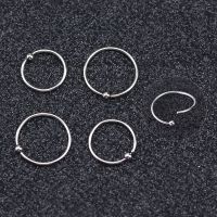 Hip Hop Nose Piercing Ring Cartilage Earrings Lip Ring Nose Ring Hoop Man Womens Jewelry Stainless Steel Piercing Jewelry