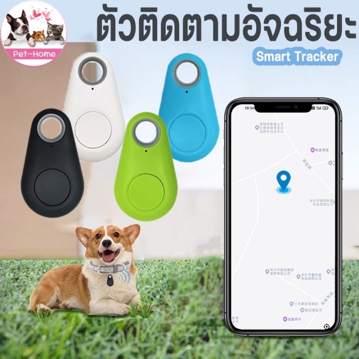 cai-cai-เครื่องติดตาม-เครื่องติดตามสัตว์เลี้ยง-smartphone-มีถ่านให้ฟรี-gps-ติดตามผ่าน-ของหายในบ้าน