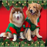 เสื้อคริสต์มาสสุนัข#เสื้อสุนัขตัวใหญ่#เสื้อน้องหมา#เสื้อสุนัขขนาดใหญ่
