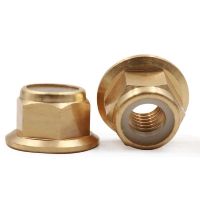 10pcs M2 M2.5 M3 M4 M5 M6 M8 Brass DIN6926 flange nylon insert lock nut not Copper