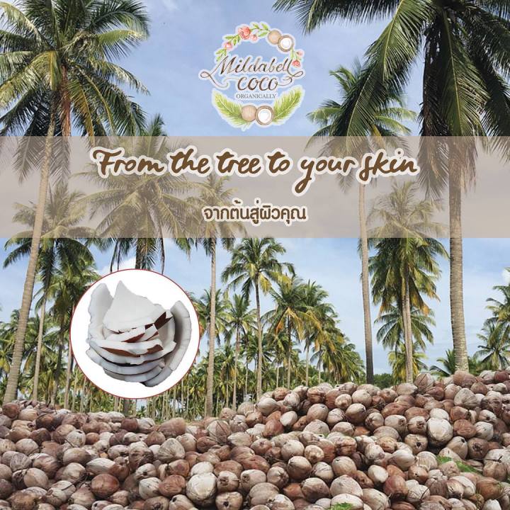 mildabell-coco-สครับหน้า-มะพร้าวพรีเมี่ยม-kala-organic-coconut-lotion-100ml