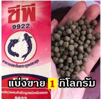 อาหารปลาดุก9922 (ใหญ่) แบ่งขาย ขนาด 1 กิโลกรัม