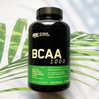 บีซีเอเอ BCAA 1000 Mega-Size 1 g 200 Capsules (Optimum Nutrition®) อาหารเสริม ออกกำลังกาย