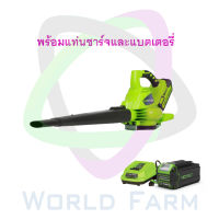 Greenworks เครื่องเป่าลม/เครื่องดูดระบบสุญญากาศ ไร้สายดิจิโปร G-MAX 40v