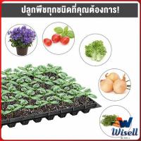 Wisell ถาดเพาะต้นกล้า  ถาดเพาะชำ ถาดเพาะเมล็ด ใช้ซ้ำได้ Seedling Tray