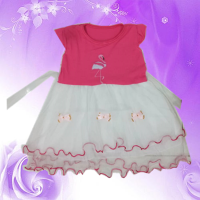 Childrens fashion dress