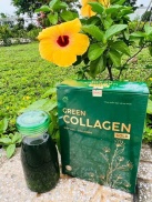 Diệp Lục Collagen GOLD MỚI Hôp 30 Gói CHÍNH HÃNG