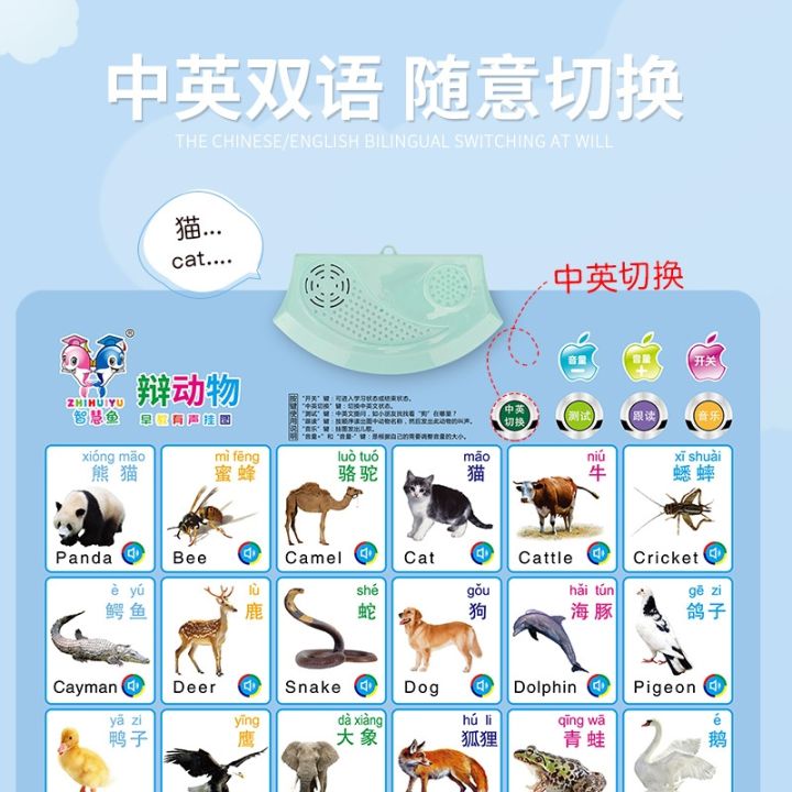 children-pinyin-audio-chart-learning-chinese-artifact-initials-final-card-first-grade-spelling-alphabet-wall-stickers