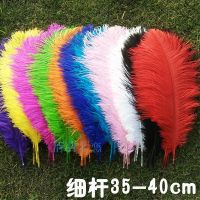 ♚◈ 35-40cm Natural Ostrich Feather Wedding Decoration Table Flower Home Stage DIY Accessories