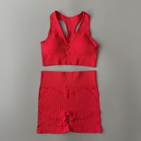 Yoga Sets Women Gym Clothes