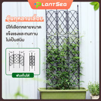 ซุ้มกุหลาบ ซุ้มไม้เลื้อย ซุ้มกุหลาบเลื้อย ปลูกกุหลาบ ชั้นวางดอกไม้ โครงกุหลาบเลื้อย ท่อเหล็กเคลือบ PE กันสนิม โครงเหล็กดัด