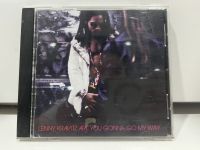 1   CD  MUSIC  ซีดีเพลง   Lenny Kravitz – Are You Gonna Go My Way      (M1B68)