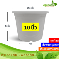 กะถางต้นไม้ กระถางพลาสติก กระทางต้นไม้ สีขาว กระถางขาว 10 นิ้ว