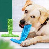 Cuttie Dog Toys for Large Dogs Toothbrush Squeak Toys for Small Dogs Puppy Squeaky Chew Toy Dog Supply Accessories Pet Products Brushes  Combs