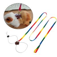 【LZ】 Pet Leash Small Pets Harness Hamster Rabbit Chinchilla Squirrel Outdoor Adjustable Chest Lead Rope Colorful 1.3m Long Animal Pro