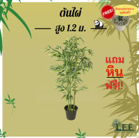 ต้นไผ่ สูง 1.2 เมตร ต้นไม้ปลอมตกแต่งบ้าน Leeartplants