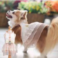 Glitter Pooch ชุดรัดอก สายจูง เสื้อผ้า สุนัข, หมา, แมว, สัตว์เลี้ยง พร้อม สายจูง รุ่น Lady Marmalade