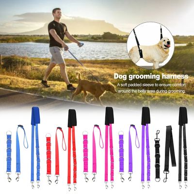 Pet Supplies Adjustable Dog Grooming Belly Strap D-rings Bathing Band Free Size Pet Traction Belt Dog Collar Dog Harness 3pcs