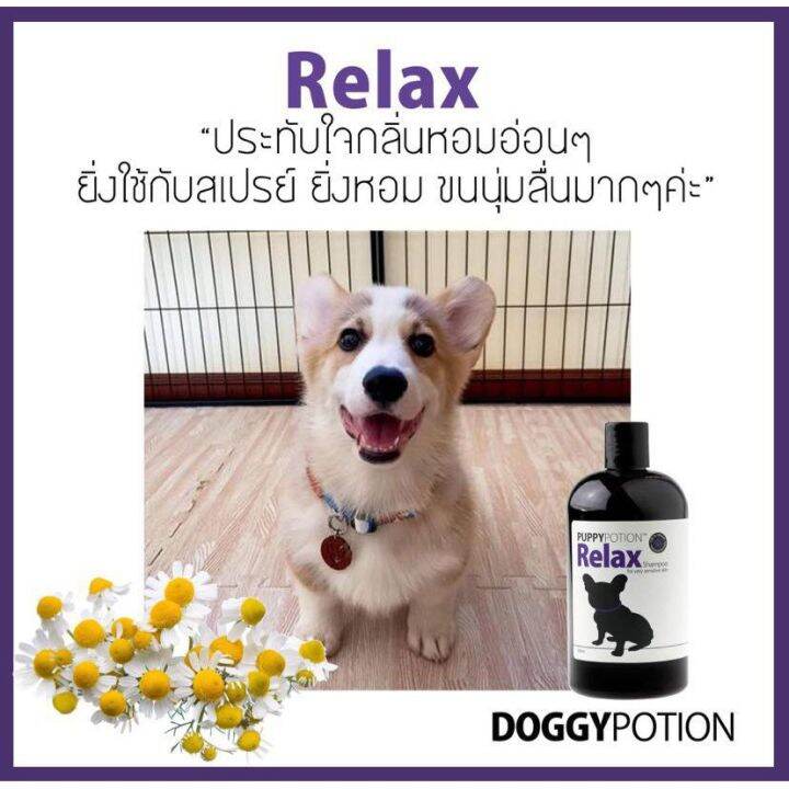 puppy-potion-relax-shampoo-แชมพูสำหรับสุนัข-สบู่อาบน้ำสุนัข-สูตรออร์แกนิค-500ml