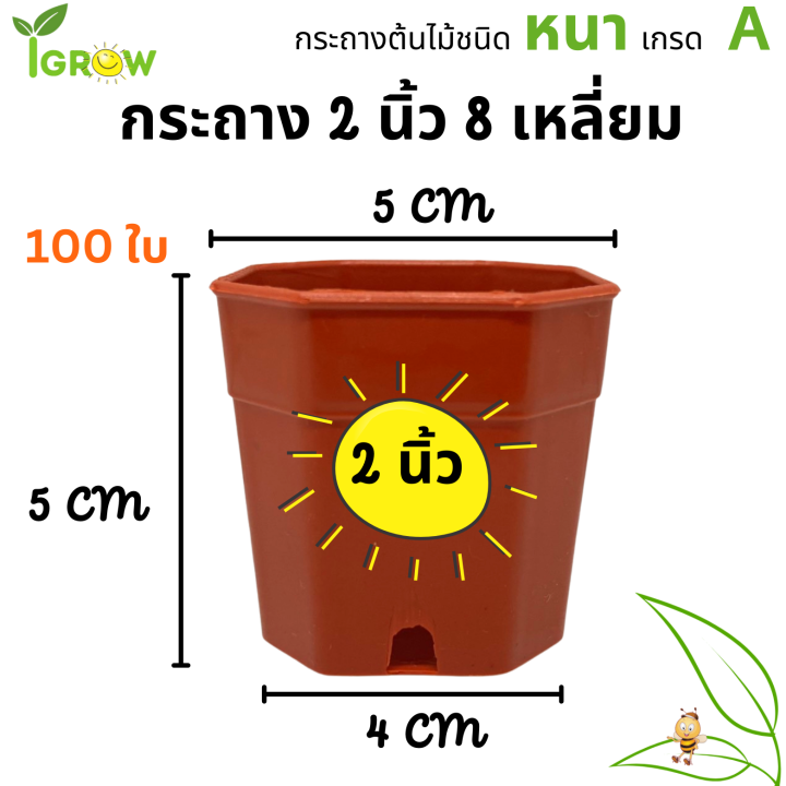 กระถาง-8-เหลี่ยม-ขนาด-2-นิ้ว-ชุด-100-ใบ-สีมินิมอล-อิฐ-ขาว-ดำ-สำหรับใส่แคนตัส-ต้นไม้จิ๋ว-มินิมอล-สวย-แท้-แน่นอน