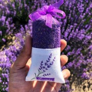Túi Thơm Oải Hương Nụ Hoa Khô Lavender Pháp