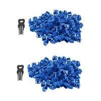 100Pcs RJ45 Port Ethernet LAN Hub Anti Dust Cover Plug Cap Blockout Protector with Proprietary Lock and Key