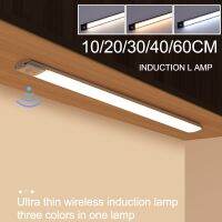 hot！【DT】 10/20/30/40/60CM Night USB Rechargeable Sensor Led Lamp for Cabinet Bedroom Wardrobe