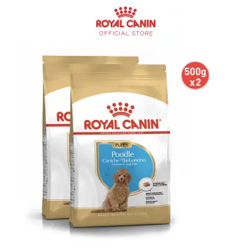 Royal canin poodle outlet dry food